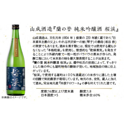 【びんご圏域連携】備後の日本酒『純米吟醸酒』飲み比べセット 720ml×3本[165-001]