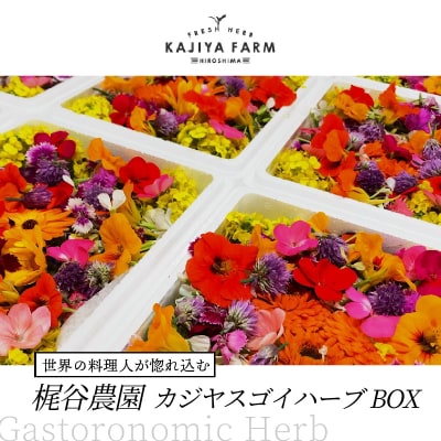 【世界の料理人が惚れ込む】広島・梶谷農園のハーブ カジヤスゴイハーブBOX [168-002] | ふるさと納税のお礼品