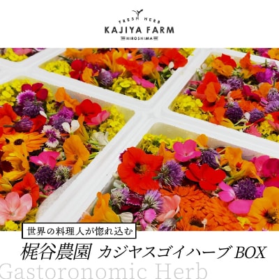 【世界の料理人が惚れ込む】広島・梶谷農園のハーブ カジヤスゴイハーブBOX [168-002]