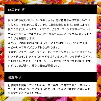 【世界の料理人が惚れ込む】広島・梶谷農園のハーブ カジヤスゴイハーブBOX [168-002]