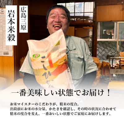 【6ヵ月定期便】令和6年新米 お米マイスターがお届けする コシヒカリ 5kg[169-003]