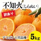 【先行受付】甘さ抜群訳ありしらぬい!デコちゃん《デコポンと同品種》 約5kg[017-048]