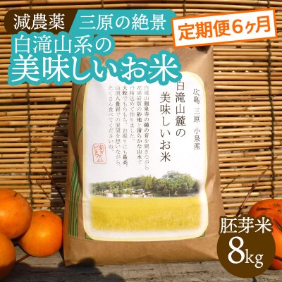 【6か月定期便】≪減農薬≫ 三原の絶景白滝山系の美味しいお米8kg(胚芽米)新米[002-029]
