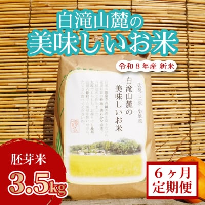 【6か月定期便】三原の絶景白滝山麓の美味しいお米 胚芽米 3.5kg×6回 [002-029]