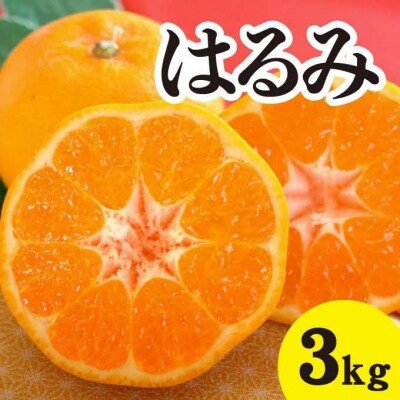 【2025年2月以降発送】甘くてジューシー!瀬戸内さぎしまのはるみ (約3kg)[017-043]