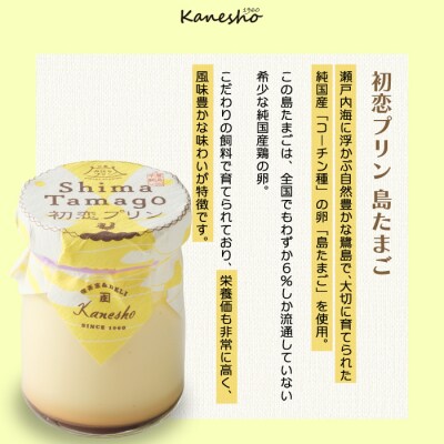 三原の老舗喫茶店「かねしょう」広島みはらプリン 3種6個セット [010-004]