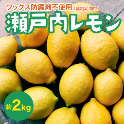 【先行受付】瀬戸内レモン約2kg[017-046]
