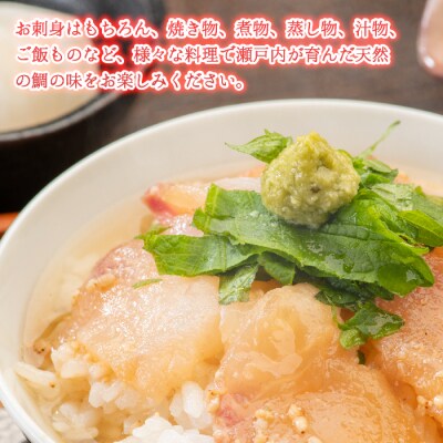 瀬戸内産 天然真鯛 約1.5kg(500g×3匹/鱗・内蔵処理)[154-001]