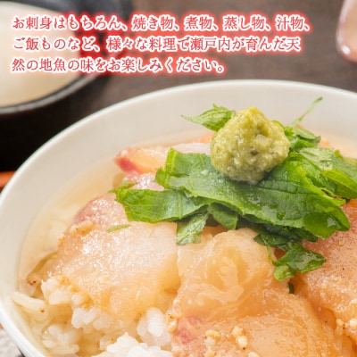 瀬戸内産 鮮魚 地魚詰め合わせ 瀬戸内天然鯛入り!(3～5種類・下処理済)[154-003]