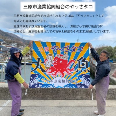 【三原市「やっさタコ」使用】タコ飯の素 2合用(180g×2袋)　[031-007]
