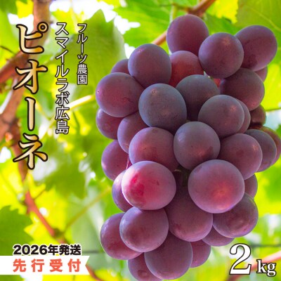 【先行受付】スマイルアグリ ピオーネ 2kg 2026年8月中旬以降発送[059-002]