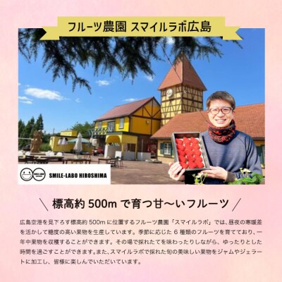 【先行受付】スマイルアグリ 高妻 2kg(2025年9月以降順次発送)[059-004]