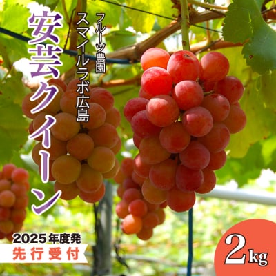 【先行受付】スマイルアグリ 安芸クイーン 2kg(2025年8月下旬以降順次発送)[059-006]