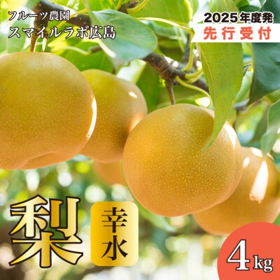 【先行受付】幸水(こうすい)梨 4kg(2025年8月中旬頃より順次発送)[059-009]