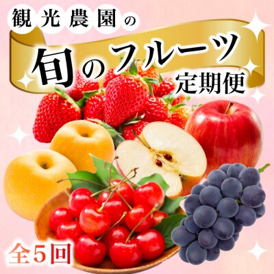 【5回お届け】旬のフルーツ定期便(大)いちご・さくらんぼ・梨・ぶどう・りんご[059-014]