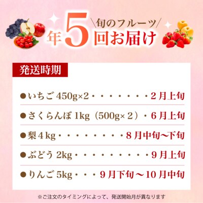 【5回お届け】旬のフルーツ定期便(大)いちご・さくらんぼ・梨・ぶどう・りんご[059-014]