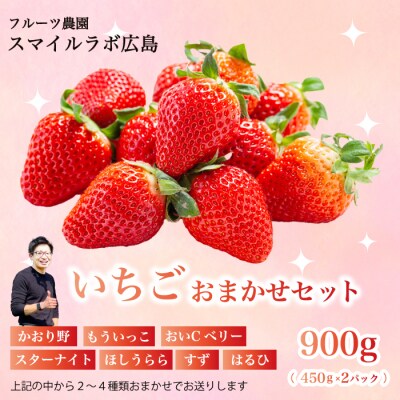 【期間限定】フルーツ農園のおまかせ いちご 450g×2パック[059-023]