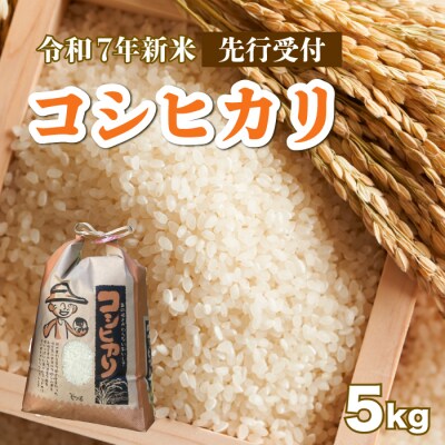 【先行受付】令和7年《新米》コシヒカリ 白米5kg 2025年8月下旬発送 [187-004]