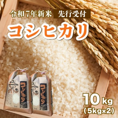 【先行受付】令和7年《新米》コシヒカリ 白米10kg 2025年8月下旬発送 [187-005]