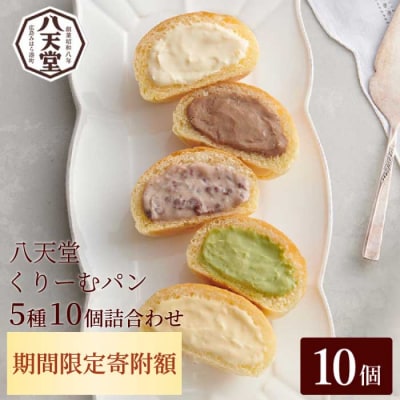 2026年1月4日まで≪特別寄附額≫【八天堂】とろけるくりーむパン 10個詰合わせ[015-014]