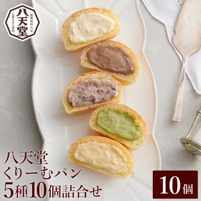【八天堂】とろけるくりーむパン 10個詰め合わせ (5種×各2個) [015-014]