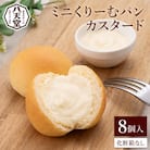 【八天堂】ミニくりーむパンカスタード 8個入 [015-028]