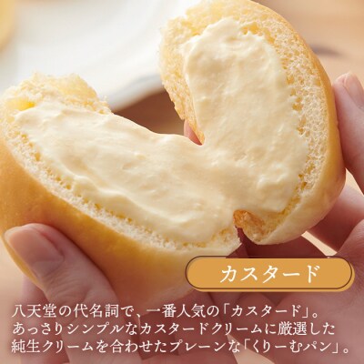 【八天堂】ミニくりーむパンカスタード 8個入 [015-028]