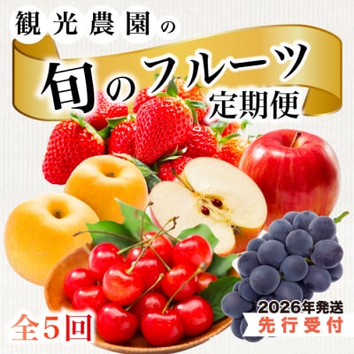 【5回お届け】旬のフルーツ定期便(小)さくらんぼ・梨・ぶどう・りんご・いちご[059-021]