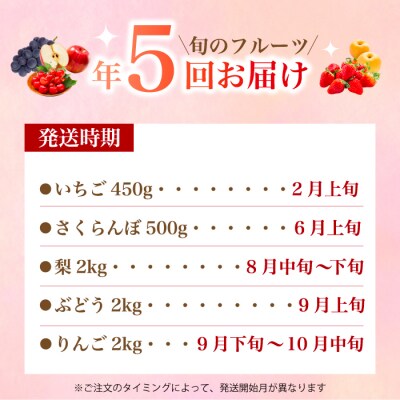 【5回お届け】旬のフルーツ定期便(小)いちご・さくらんぼ・梨・ぶどう・りんご[059-021]
