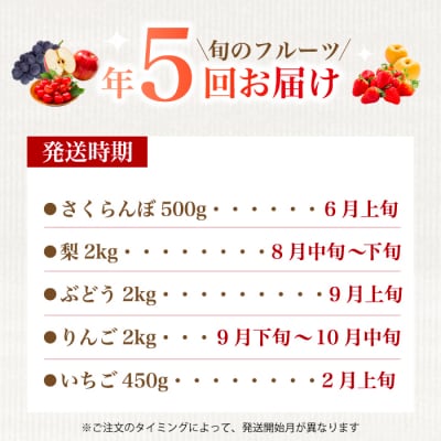 【5回お届け】旬のフルーツ定期便(小)さくらんぼ・梨・ぶどう・りんご・いちご[059-021]