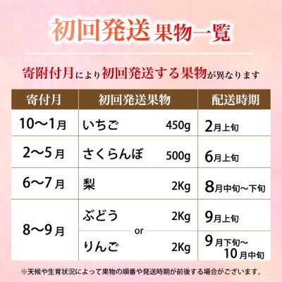 【5回お届け】旬のフルーツ定期便(小)いちご・さくらんぼ・梨・ぶどう・りんご[059-021]