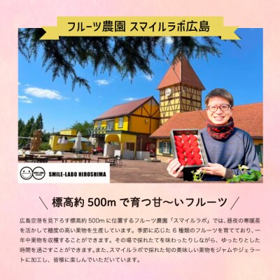 【5回お届け】旬のフルーツ定期便(小)いちご・さくらんぼ・梨・ぶどう・りんご[059-021]