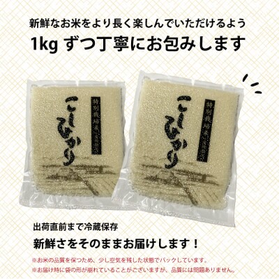 コシヒカリ精米5kg(1kg×5パック)[191-002]
