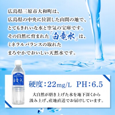【3か月定期便】G7広島サミット提供 広島だいわ天然水 白竜水 20L[035-012]