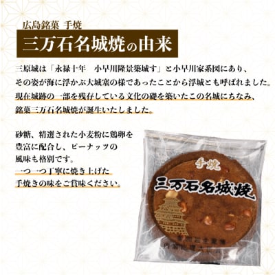 【第20回全国菓子博内閣大臣賞受賞】三万石名城焼 10枚[192-005]
