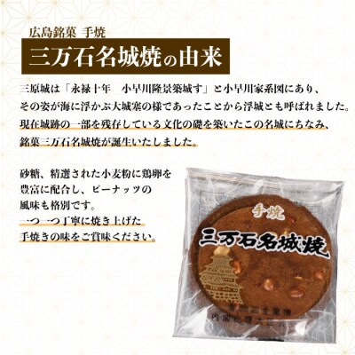 【第20回全国菓子博内閣大臣賞受賞】三万石名城焼 10枚[192-005]