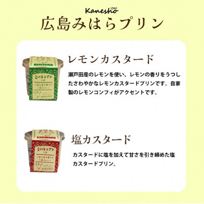 ミハラニアンカスタードプリン2種類 6個セット かねしょう スイーツ デザート [010-003]