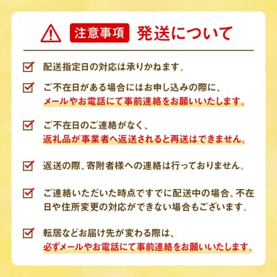 米粉・もち粉専用工場で作る 国産こめ粉 3kg(300g×10袋)洋菓子 料理 [140-002]