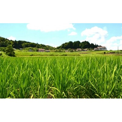 OKITA9241 無濾過生原酒[011-006]