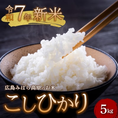 令和7年新米 コシヒカリ 白米5kg 2025年11月中旬～順次発送[220-001]