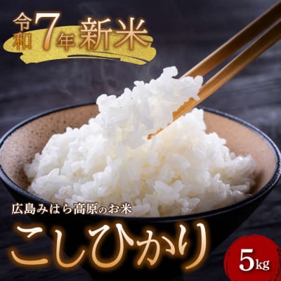 【令和7年新米】みはら高原米 浮城 コシヒカリ 白米5kg [220-001]