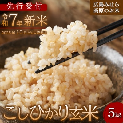 【先行受付】令和7年新米 コシヒカリ 玄米5kg 2025年10月上旬以降～発送[220-003]