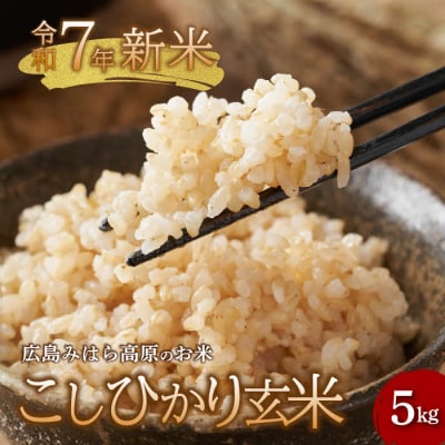 【令和7年新米】みはら高原米 浮城 コシヒカリ 玄米5kg [220-003]