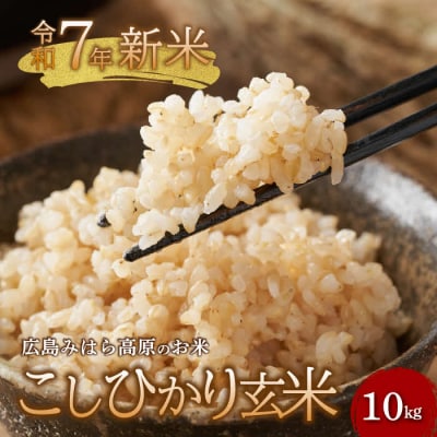 【令和7年新米】みはら高原米 浮城 コシヒカリ 玄米10kg [220-004]