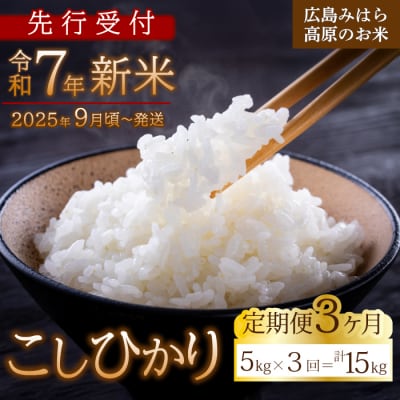 【先行受付】■3か月定期便■ 令和7年新米 コシヒカリ 白米5kg [220-005]