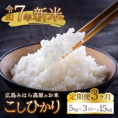 ■3か月定期便■ 令和7年新米 コシヒカリ 白米5kg [220-005]