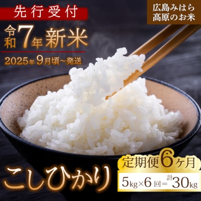 【先行受付】■6か月定期便■ 令和7年新米 コシヒカリ 白米5kg [220-006]