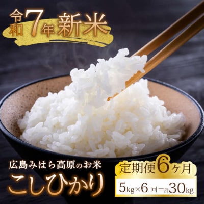 【令和7年新米】みはら高原米 浮城《6か月定期便》コシヒカリ 白米5kg [220-006]