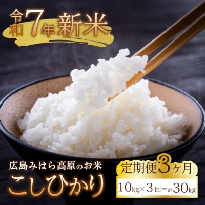 ■3か月定期便■ 令和7年新米 コシヒカリ 白米10kg [220-007]