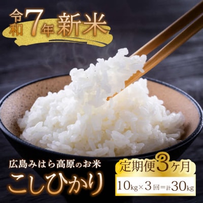 【令和7年新米】みはら高原米 浮城《3か月定期便》コシヒカリ 白米10kg [220-007]